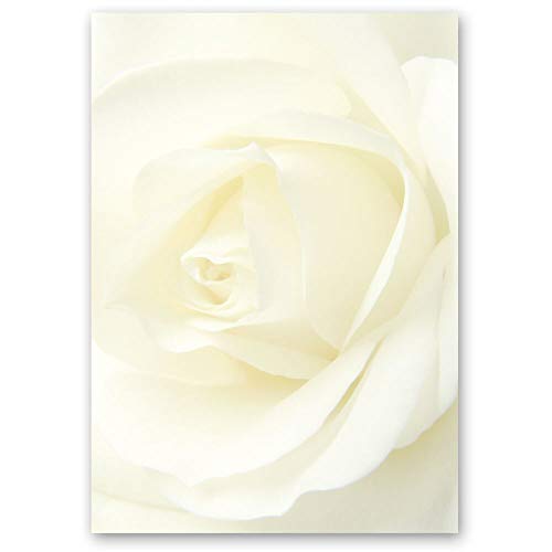 50 Blatt Briefpapier Blumen & Blüten, Liebe & Hochzeit WEISSE ROSE - DIN A5 Format - Paper-Media von Paper-Media