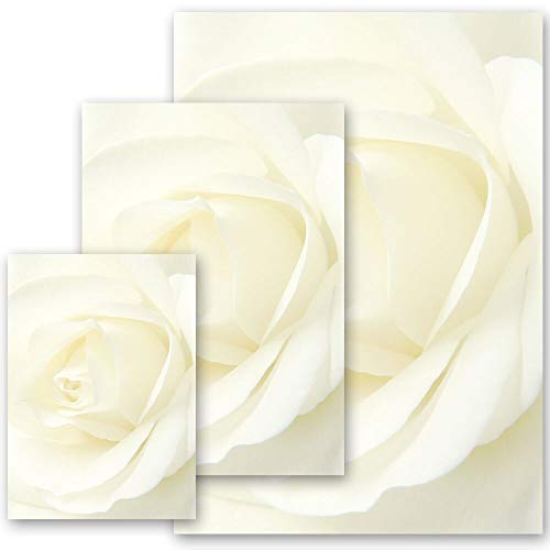 50 Blatt Briefpapier Blumenmotiv, Rosenmotiv WEISSE ROSE - DIN A4 Format | Paper-Media von Paper-Media