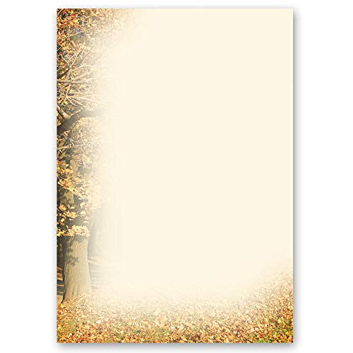 50 Blatt Briefpapier Herbstmotiv HERBSTRAHMEN - DIN A4 Format | Paper-Media von Paper-Media