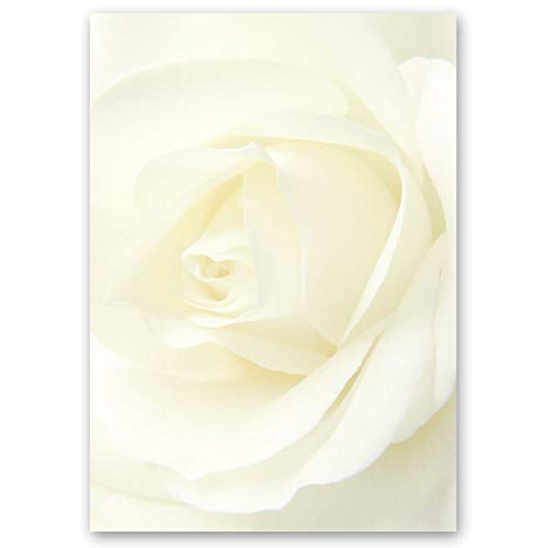 Briefpapier Blumen & Blüten, Liebe & Hochzeit Rosenmotiv WEISSE ROSE - DIN A4 Format 250 Blatt - Paper-Media von Paper-Media