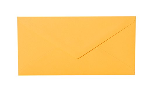 Paper24 25 Briefumschläge Gelb-Orange DIN lang 110x220 mm, 11x22 cm, ohne Fenster, Ideal für Einladungskarten Hochzeit Geburtstag u. ä. von Paper24