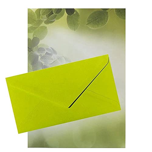 Briefpapier mit Umschlag, als Set, DIN A4 Papier und DIN lang Briefumschläge, ideal für Weihnachten, Geburtstag (Bätter+DL28, 100er Set) von Paper24