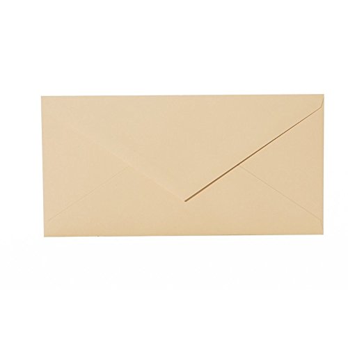 Paper24 100 Briefumschläge Din Lang 110x220 mm mit Spitzlasche, 120g, Farbe: 03 Camel von Paper24