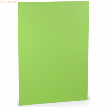 10 x Paperado Karton A4 220g/qm VE=5 Blatt Apple 10 x Paperado Karton A4 220g/qm VE=5 Blatt Apple von Paperado