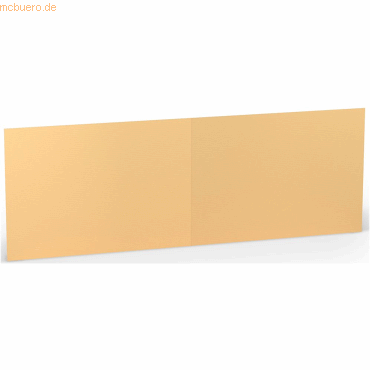 50 x Paperado Doppelkarte B6 quer 220 g/qm Melon von Paperado