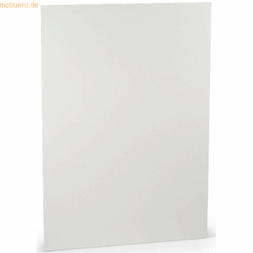 50 x Paperado Karton A3 220 g/qm gerippt Eisgrau 50 x Paperado Karton A3 220 g/qm gerippt Eisgrau von Paperado