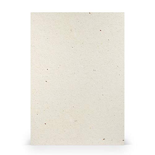 PAPERADO 100x Briefpapier DIN A4 - Terra Vanilla Weiß Creme Beige 100 g/m² - Papierbögen in 29,7 x 21 cm zum Basteln & Drucken von Paperado