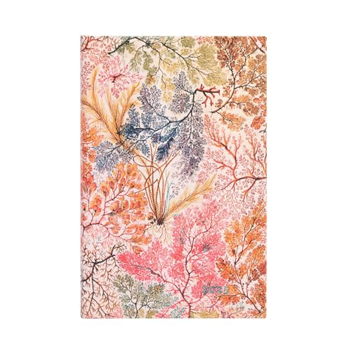 Paperblanks 12-Monatskalender 2025, Anemone, Midi, Verso, mit Klappumschlag von Paperblanks