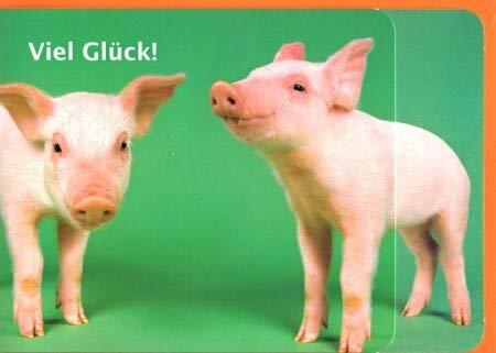 Grußkarte Glücksschweine Ferkel viel Glück A6 von Paperclip