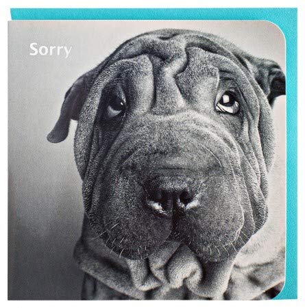 Paperclip Grußkarte Sorry Entschuldigung Faltenhund SW von Paperclip