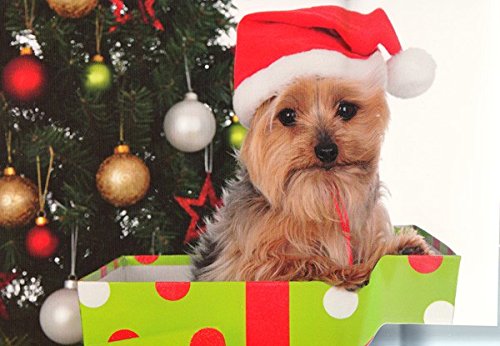 Paperclip Weihnachtskarte Hund Yorkshire Terrier A6 von Paperclip