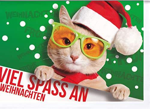 Paperclip Weihnachtskarte Viel Spaß Katze mit Sonnenbrille A6 von Paperclip
