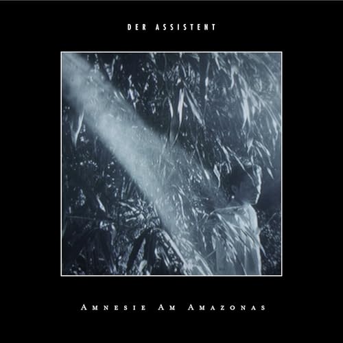 Amnesie am Amazonas [Vinyl LP] von Papercup Records (Rough Trade)