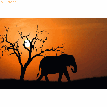Paperflow Wandbild 65x98cm Out of Africa Paperflow Wandbild 65x98cm Out of Africa von Paperflow