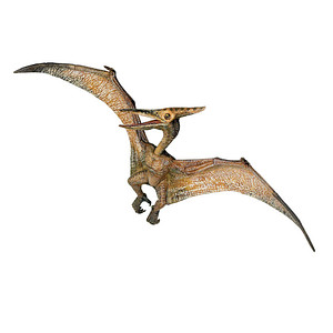 papo 55006 Dinosaurier Pteranodon Spielfigur papo 55006 Dinosaurier Pteranodon Spielfigur von Papo