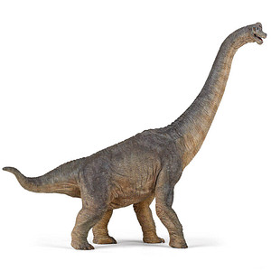 papo 55030 Dinosaurier Brachiosaurus Spielfigur papo 55030 Dinosaurier Brachiosaurus Spielfigur von Papo