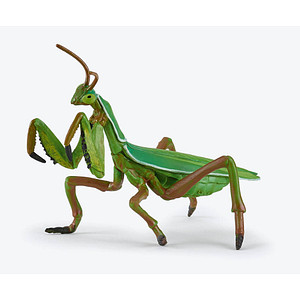 papo Gartentiere 50244 Gottesanbeterin Spielfigur papo Gartentiere 50244 Gottesanbeterin Spielfigur von Papo