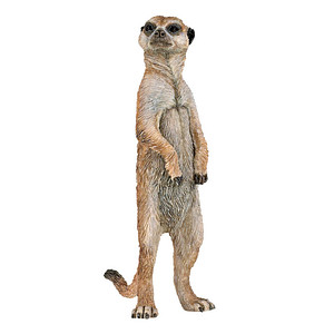 papo Wildtiere der Welt 50206 Stehendes Erdmännchen Spielfigur papo Wildtiere der Welt 50206 Stehendes Erdmännchen Spielfigur von Papo