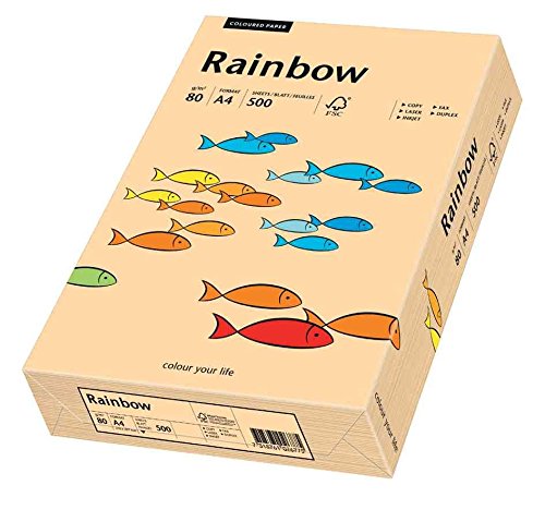 PAPYRUS Multifunktionspapier Rainbow, A4, 80 g qm, lachs von Papyrus