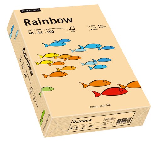 Papyrus 88042497 Drucker-/Kopierpapier, Bastelpapier Rainbow: 80 g/m², A4 500 Blatt, matt, Farbe: lachs von Papyrus