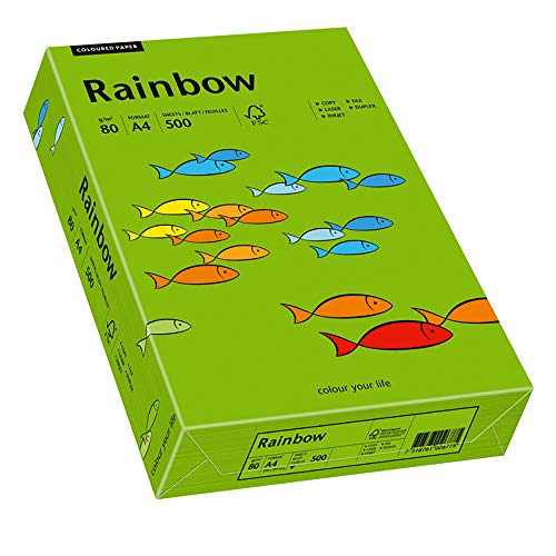 Papyrus 88042673 Drucker-/Kopierpapier farbig, Bastelpapier: Rainbow 80 g/m² DIN-A4, 500 Blatt Buntpapier, matt, intensivgrün von Papyrus