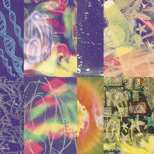 The Neon Gate [Vinyl LP] von Paradise of Bachelors
