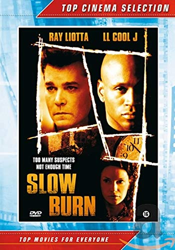Slow Burn [DVD-AUDIO] von Paradiso Home Ent.