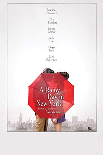 MOVIE - RAINY DAY IN NEW YORK, (A) (1 DVD) von Paradiso