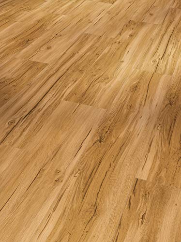 Parador Designboden Vinyl Basic 5.3 Eiche Memory natur Gebürstete Struktur Landhausdiele 4-seitige Fase von Parador