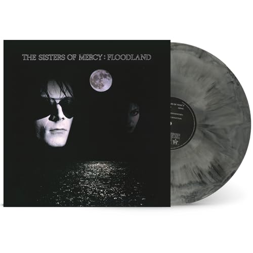 Floodland [Vinyl LP] von Rhino