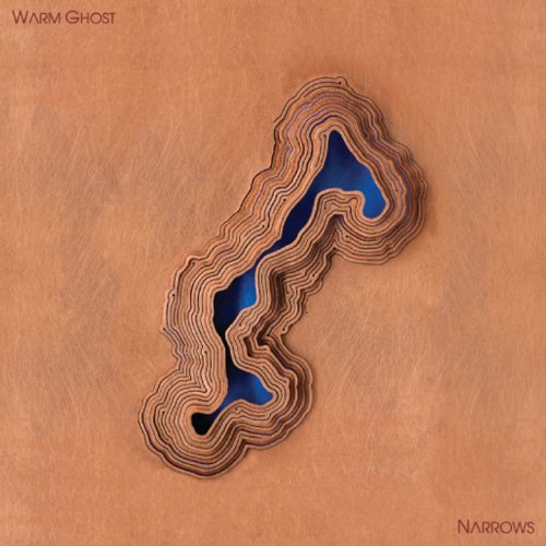 Narrows [Vinyl LP] von Partisan Records