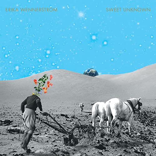 Sweet Unknown [Vinyl LP] von Partisan Records