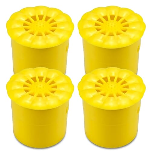 Pastaclean® Fruchtfliegenfalle - 4er-Pack, Wirksame Obstfliegenfalle ohne Gift | Insektenfalle für den Obstkorb zum Obstfliegen fangen, Einfach mit Lockstoff zu Befüllen | Made in Germany von Pastaclean