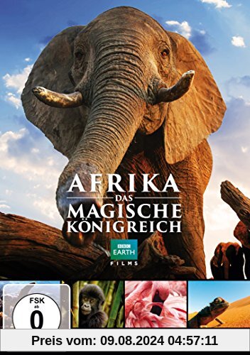 Afrika - Das magische Königreich von Patrick Morris