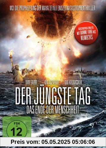 Der jüngste Tag - Das Ende der Menschheit von Paul Ziller