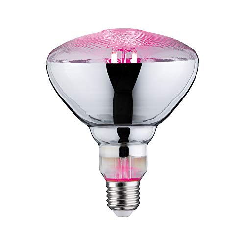 Paulmann 28737 LED Lampe Pflanzenlicht 6,5W Leuchtmittel Wachstumslicht Beleuchtung Glas Licht 1300 K E27 Paulmann 28737 LED Lampe Pflanzenlicht 6,5W Leuchtmittel Wachstumslicht Beleuchtung Glas Licht 1300 K E27 von Paulmann