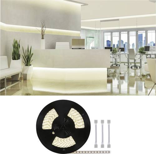 Paulmann 71042 LED-Streifen-Erweiterung mit Stecker 24V 20m Warmweiß 20m von Paulmann
