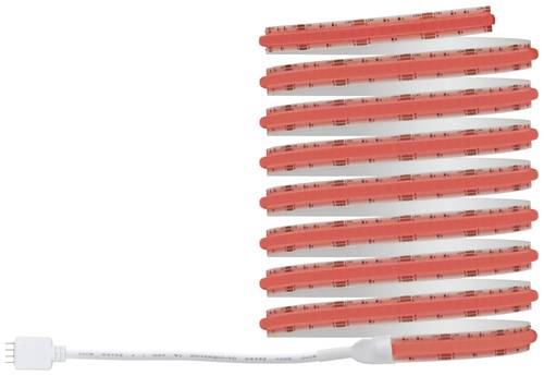Paulmann 78864 LED-Streifen-Basisset mit Stecker 230V 3m RGB 1 Set Paulmann 78864 LED-Streifen-Basisset mit Stecker 230V 3m RGB 1 Set von Paulmann