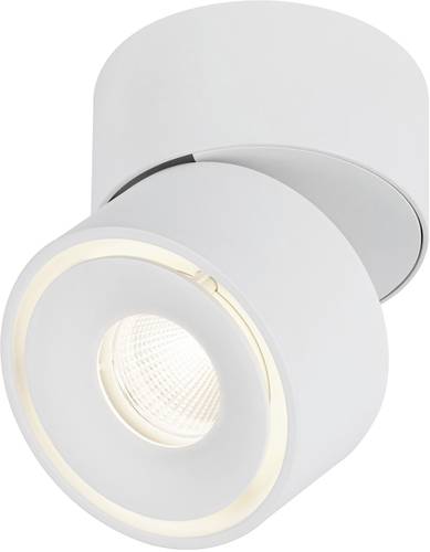 Paulmann 93373 Spircle LED-Aufbauleuchte LED LED fest eingebaut 8W Weiß von Paulmann