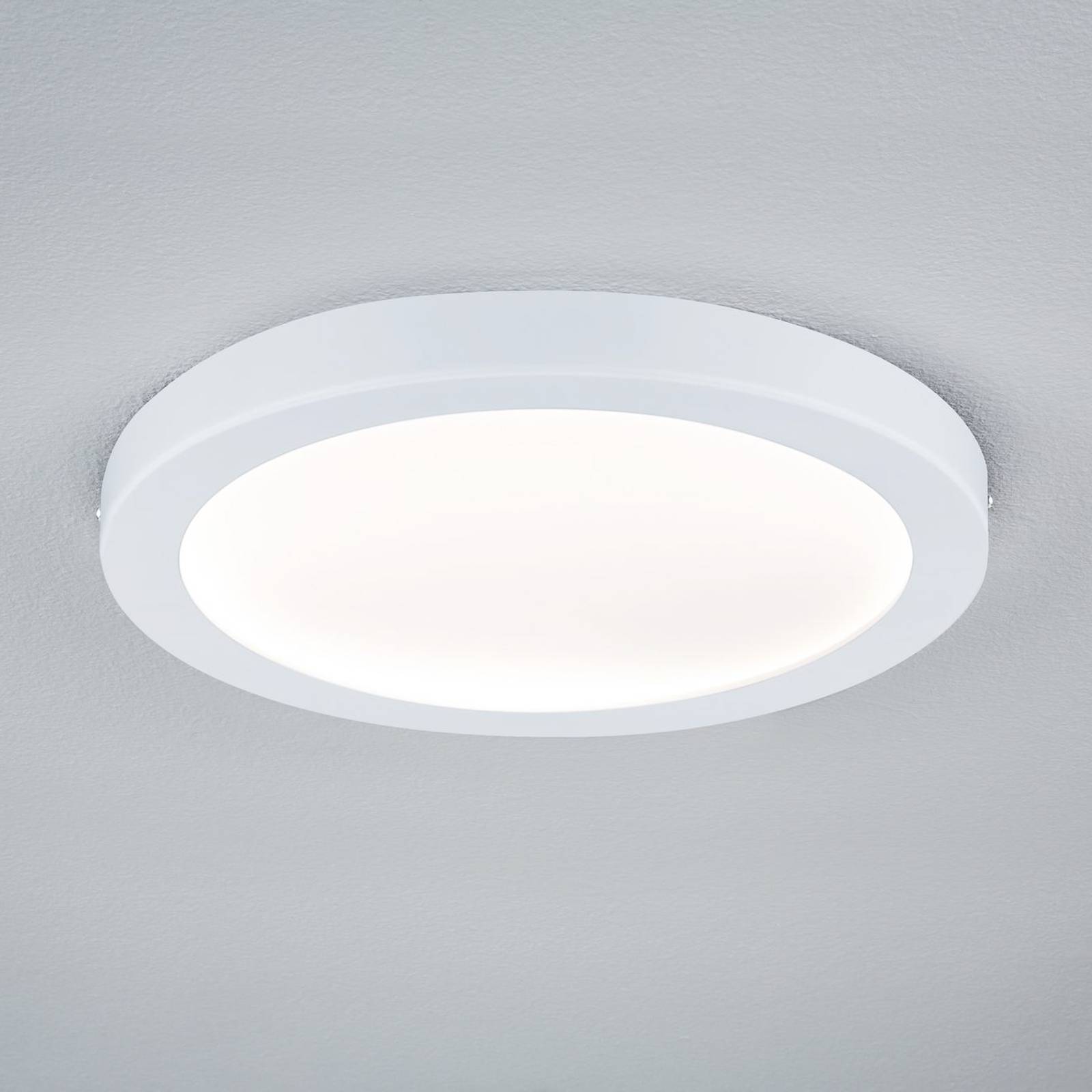 Paulmann Abia LED-Panel Ø 30cm 2.700K weiß matt Paulmann Abia LED-Panel Ø 30cm 2.700K weiß matt von Paulmann
