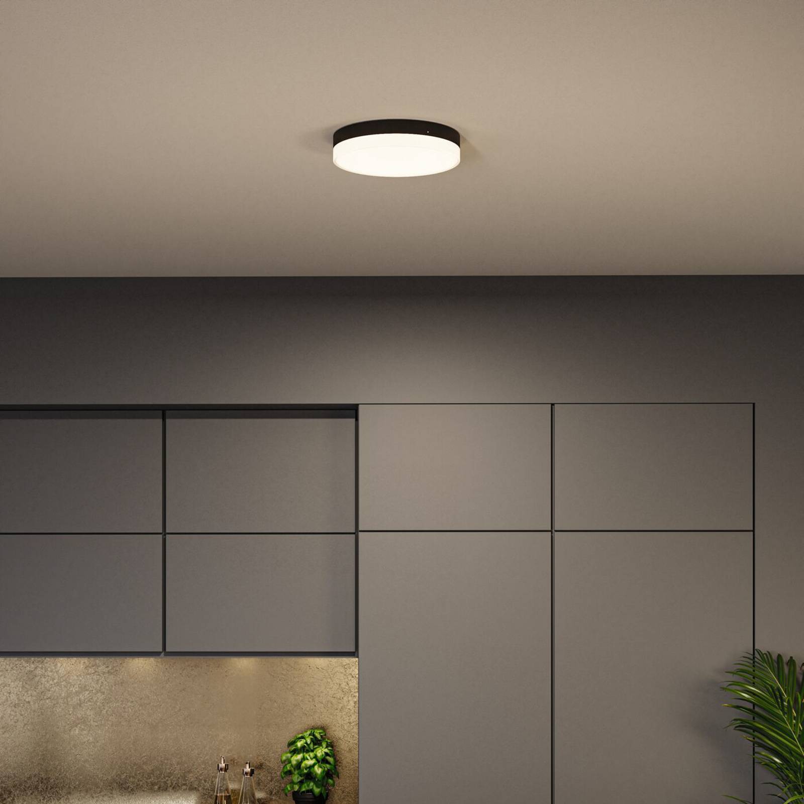 Paulmann Amalie LED-Deckenlampe 3-step-dim schwarz Paulmann Amalie LED-Deckenlampe 3-step-dim schwarz von Paulmann