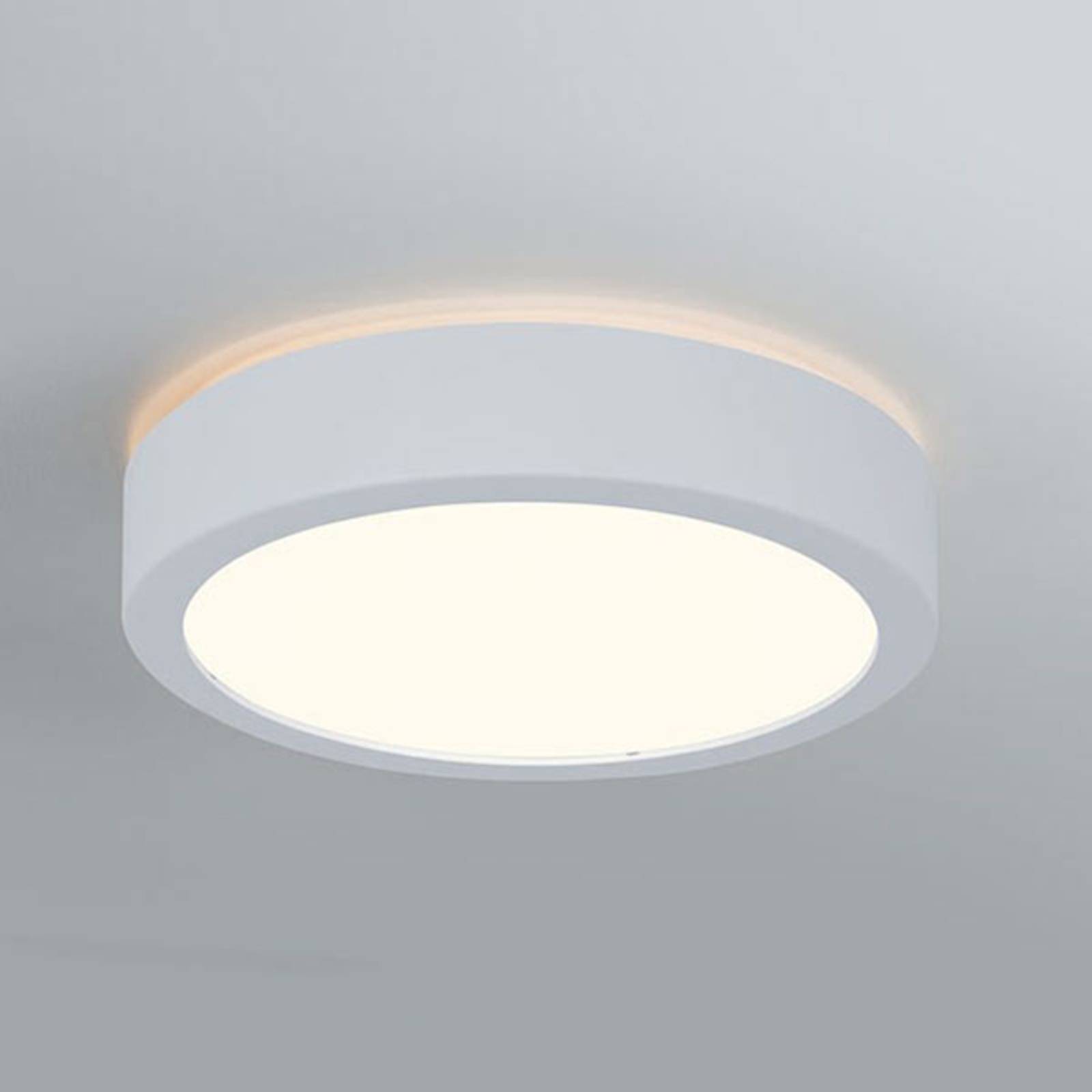 Paulmann Aviar LED-Deckenlampe Ø 22cm weiß 3.000K Paulmann Aviar LED-Deckenlampe Ø 22cm weiß 3.000K von Paulmann