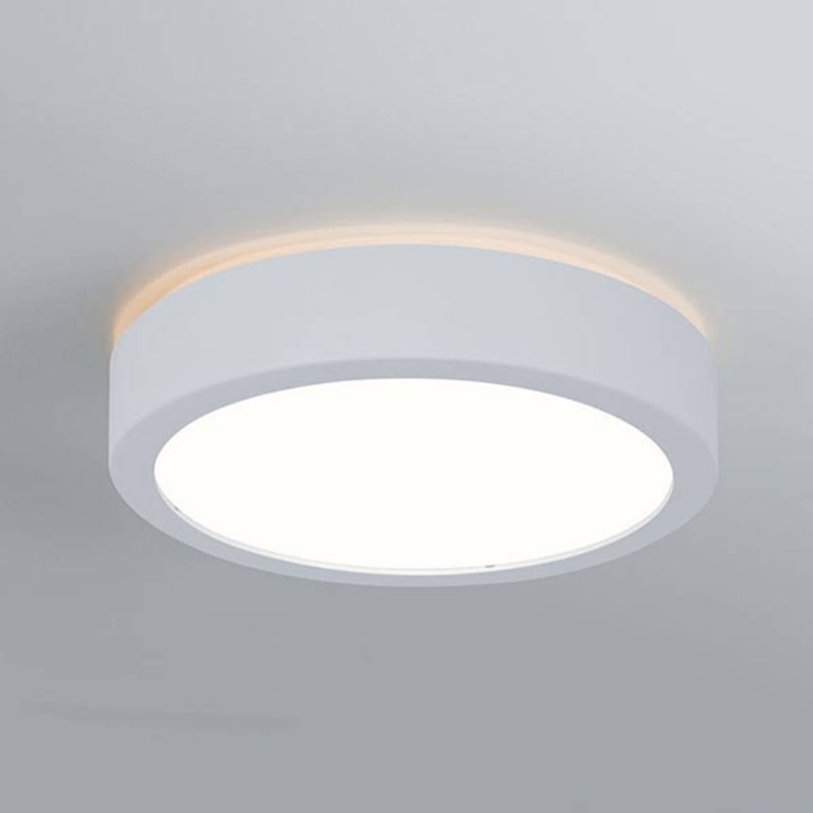 Paulmann Aviar LED-Deckenlampe Ø 22cm weiß 4.000K Paulmann Aviar LED-Deckenlampe Ø 22cm weiß 4.000K von Paulmann