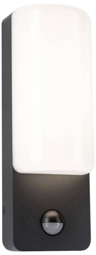 Paulmann Bonnie PIR 94851 LED-Außenwandleuchte LED 8.5W Anthrazit Paulmann Bonnie PIR 94851 LED-Außenwandleuchte LED 8.5W Anthrazit von Paulmann