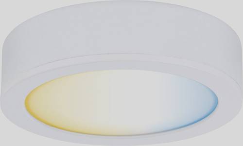 Paulmann CC Disc Unterbauleuchte 2.10W Warmweiß Weiß Paulmann CC Disc Unterbauleuchte 2.10W Warmweiß Weiß von Paulmann