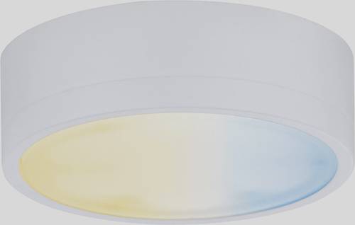 Paulmann CC Medal Unterbauleuchte 2.30W Warmweiß Weiß von Paulmann