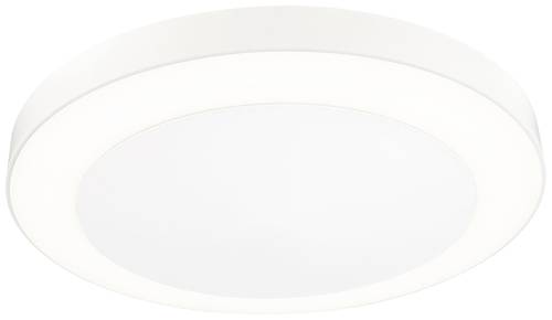 Paulmann Circula 94528 LED-Außenwandleuchte mit Bewegungsmelder 14W Beige von Paulmann