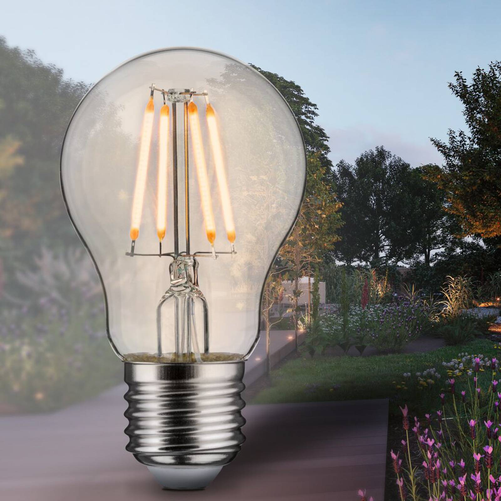 Paulmann LED-Lampe Filament E27 4W 2.200 K Paulmann LED-Lampe Filament E27 4W 2.200 K von Paulmann