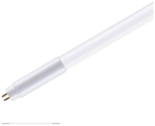 Paulmann LED-Röhre EEK: F (A - G) G5 8.5W Neutralweiß (Ø x L) 18mm x 563mm 1St. von Paulmann