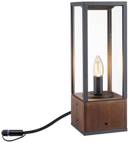 Paulmann Lichtobjekt Venea 94673 Beleuchtungssystem Plug & Shine LED-Gartenstrahler LED 2W Warmweiß von Paulmann